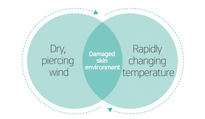 dry, piercing wind, rapidly changing temperature